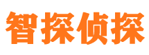 井冈山市婚外情调查